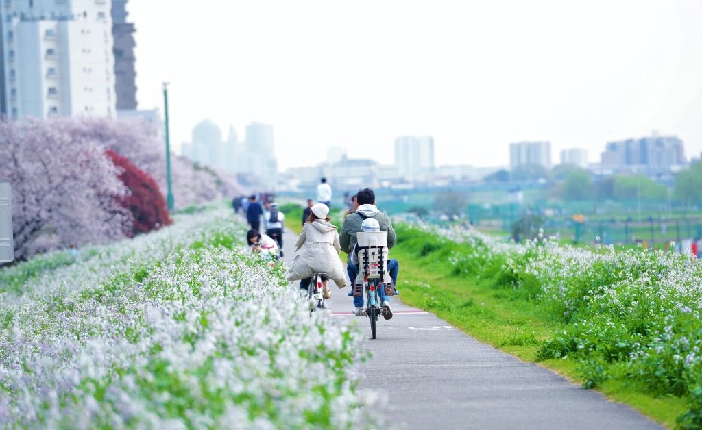 🌳 타마가와 가스 다리 녹지(타마가와 가스바시 료쿠치) 이미지 1